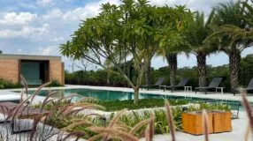 Foto de arvores para jardim 1 - 3
