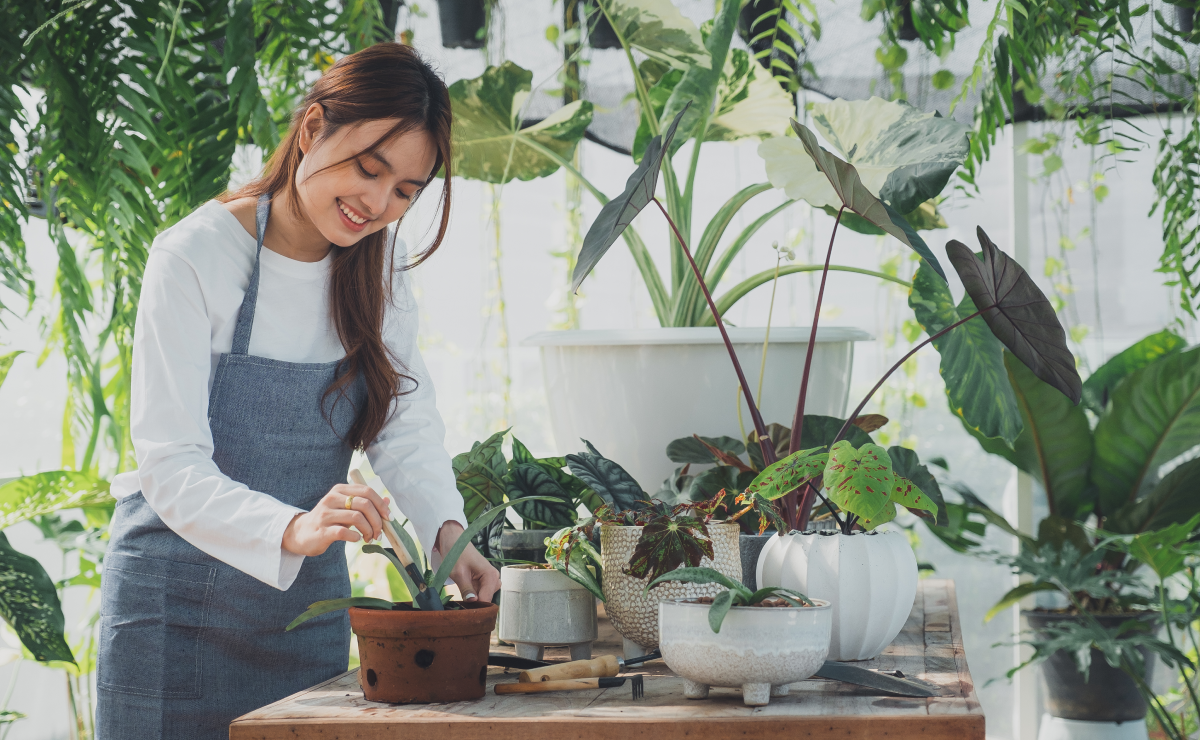 Saiba como começar na jardinagem com dicas e vídeos práticos