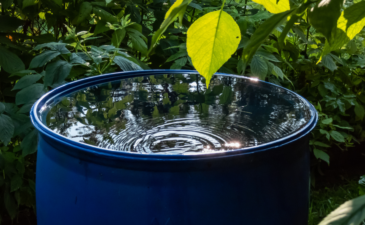 Cisterna é opção econômica para um consumo consciente