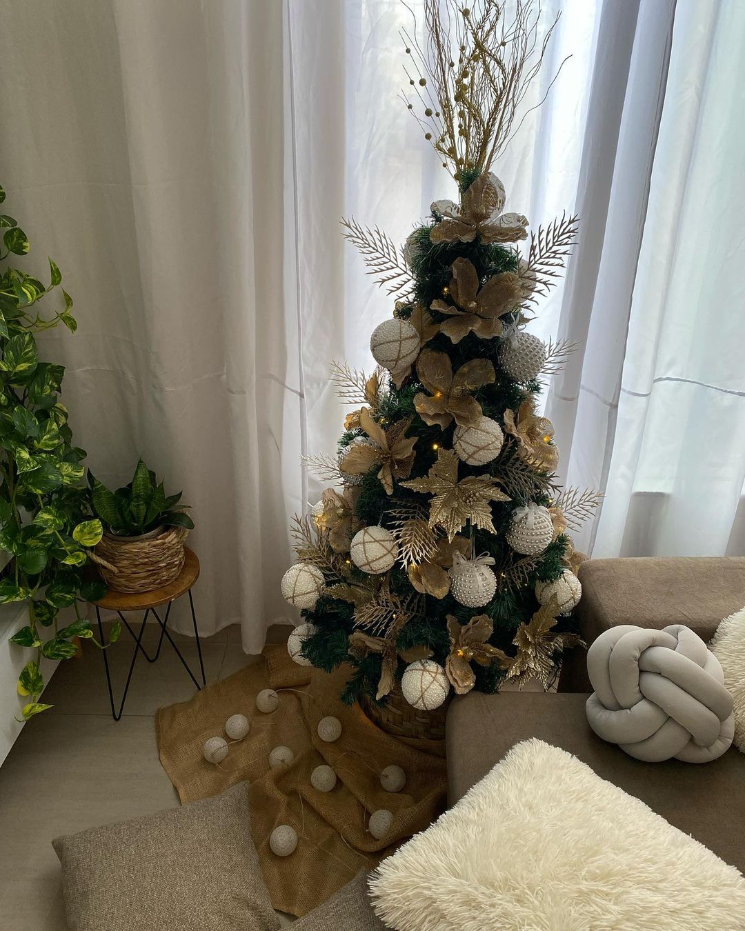 Foto de arvore de natal 11 - 12