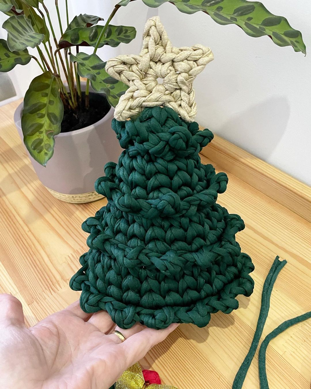 Foto de arvore de natal 24 - 26