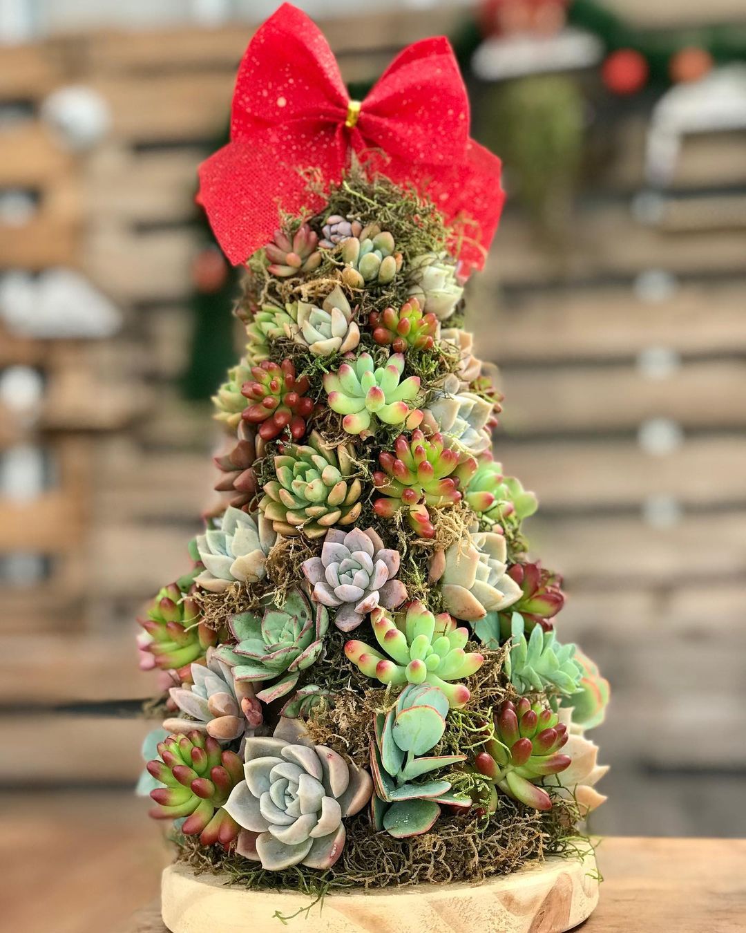 Foto de arvore de natal 33 - 35