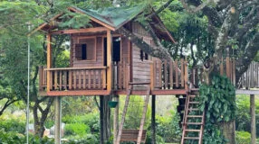 Foto de casa na arvore 00 - 3
