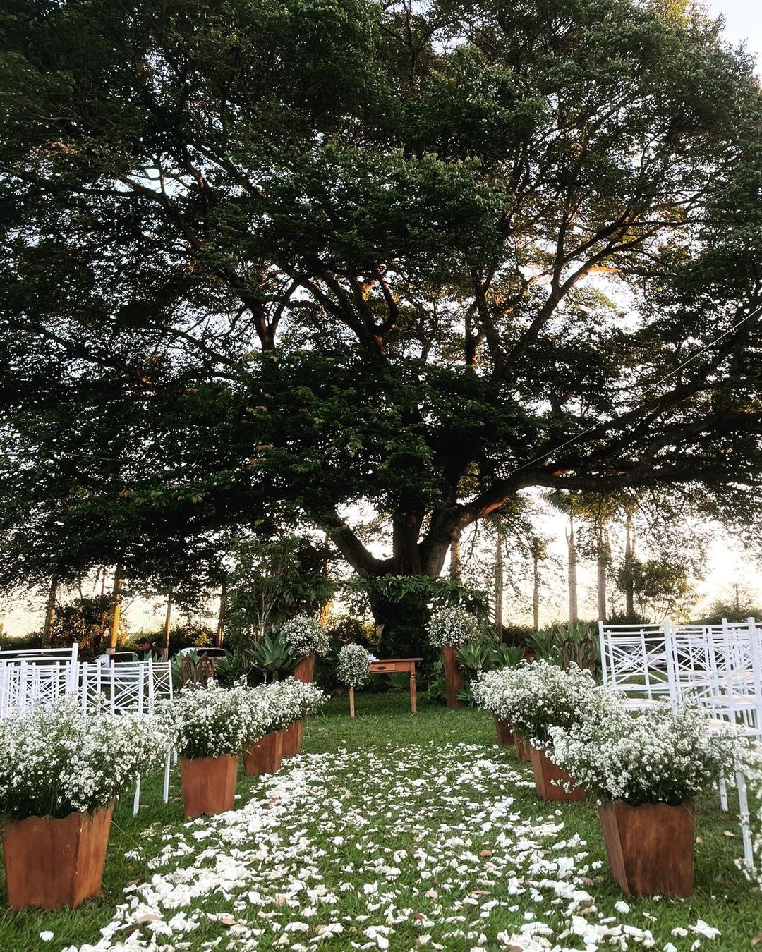 Foto de casamento ao ar livre 26 - 26