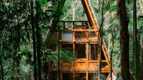 Foto de casa macaco 00 - 4