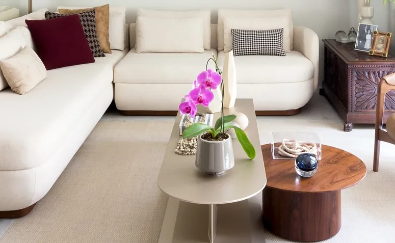 Foto de plantas pet friendly 015 - 15