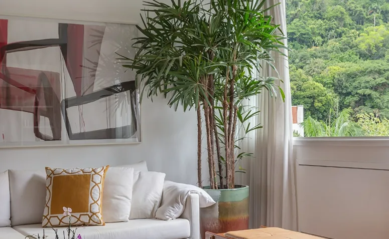 Foto de plantas pet friendly 022 - 25