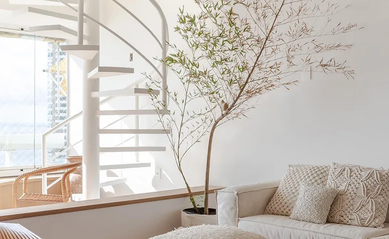 Foto de plantas pet friendly 04 - 4