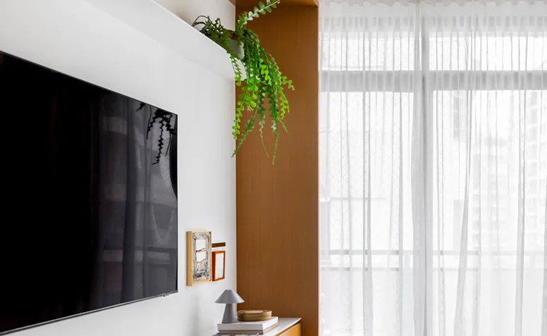 Foto de plantas pet friendly 06 - 6