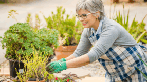 Foto de cuidar de plantas ajuda a viver mais 0 - 3