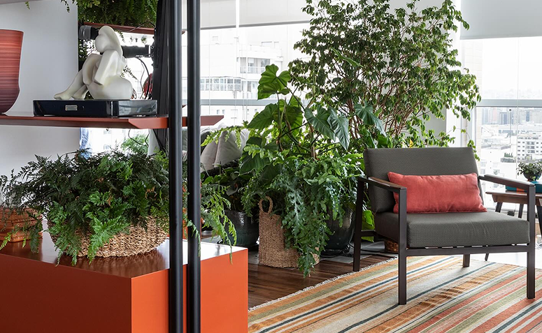 Foto de cuidar de plantas ajuda a viver mais 01 - 8