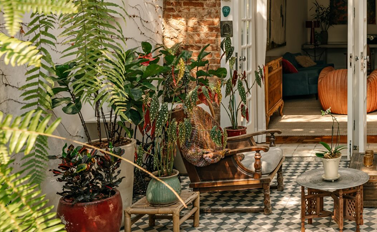 Foto de cuidar de plantas ajuda a viver mais 03 - 1