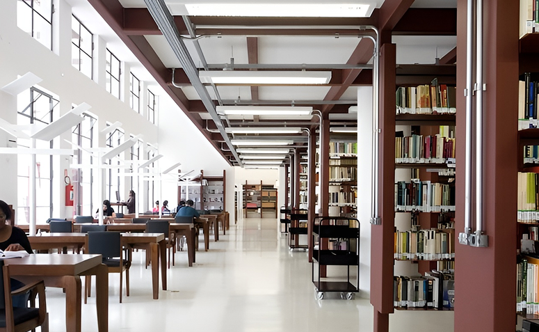 Foto de bibliotecas mais bonitas do brasil 002 - 2
