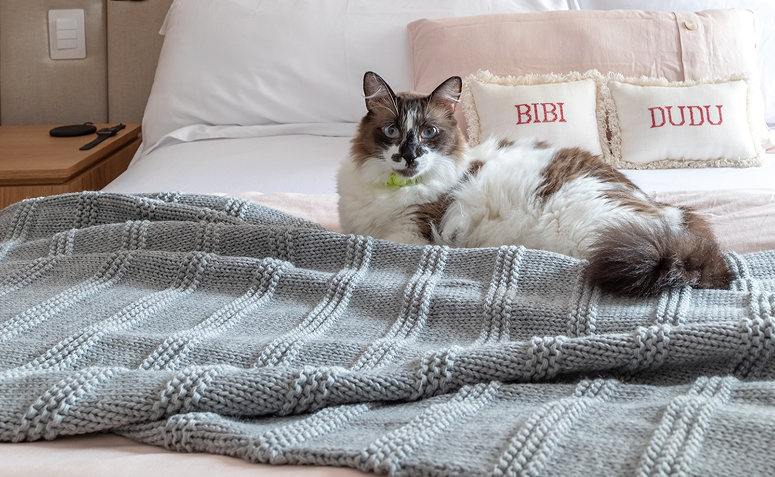 gato deitado sobre tecidos em uma cama