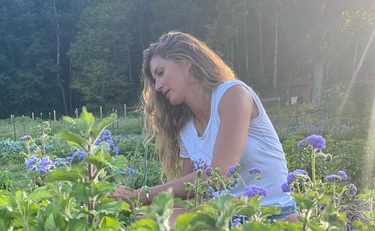 As plantas que Gisele Bündchen cultiva em casa e que você também pode ter