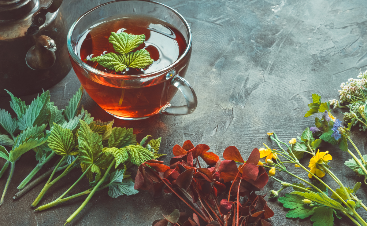 10 plantas que ajudam a aliviar resfriados e ainda decoram a casa