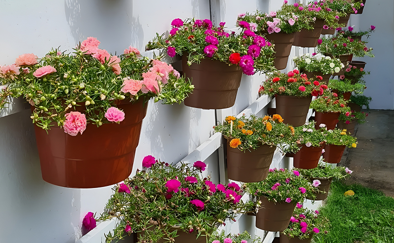 Foto de plantas que florescem o ano todo 02 - 2