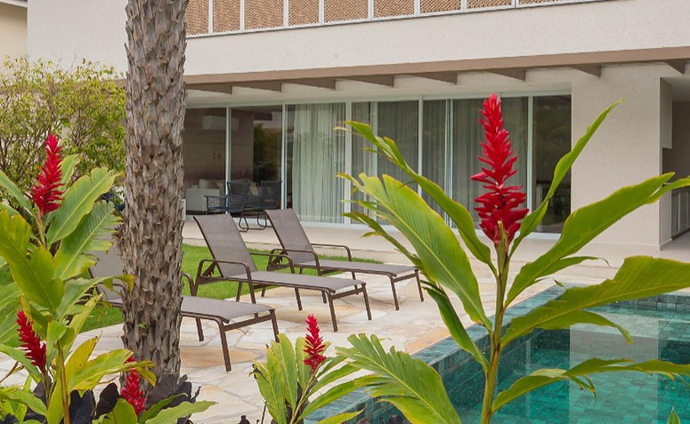 Foto de plantas que florescem o ano todo 04 - 12