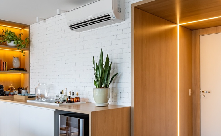 Foto de plantas para ambientes com ar condicionado 001 2 - 1