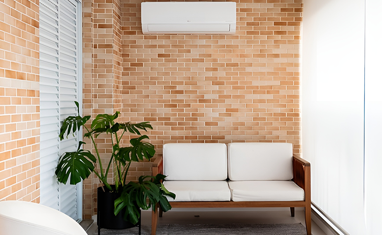 Foto de plantas para ambientes com ar condicionado 0010 - 10