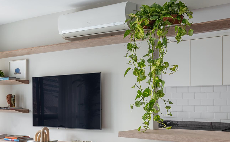 Foto de plantas para ambientes com ar condicionado 009 - 9