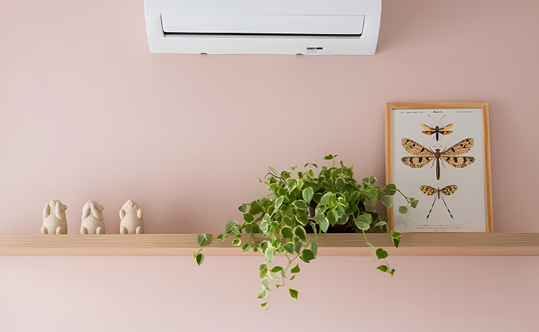 Foto de plantas para ambientes com ar condicionado 05 - 5