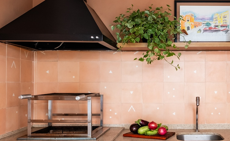 Cultivo de peperômia filodendro em prateleira de madeira na cozinha
