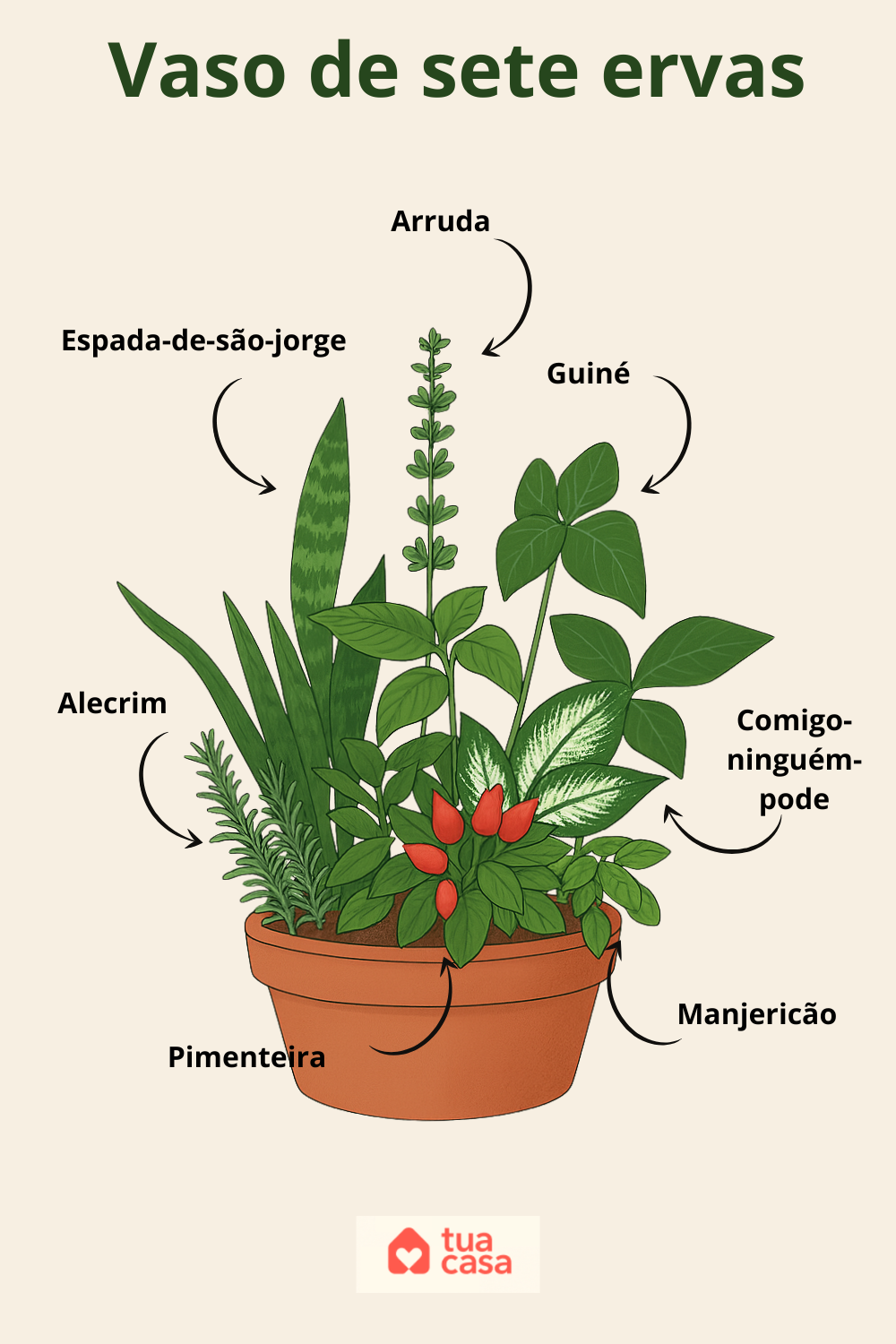 ilustração de vaso de cerâmica com sete ervas: arruda, alecrim, manjericão, guiné, pimenteira, espada-de-são-jorge e comigo-ninguém-pode