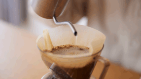 Você sabe o que fazer com a borra de café? Como reaproveitar ou descartar corretamente