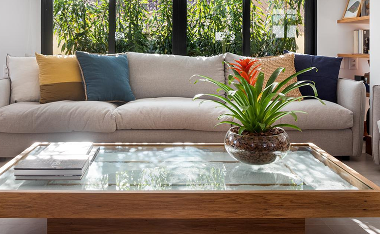 vaso de vidro com bromélia guzmania na decoração da sala de estar.