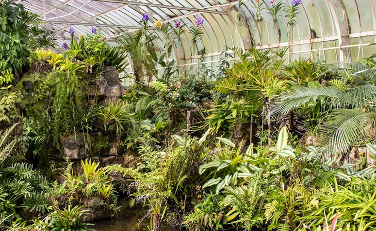 Foto de jardins mais bonitos do brasil 05 - 5