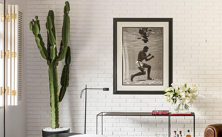 Cacto grande em decoração elegante e minimalista.