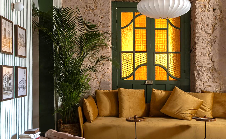 areca-bambu grande ao lado de sofá amarelo.