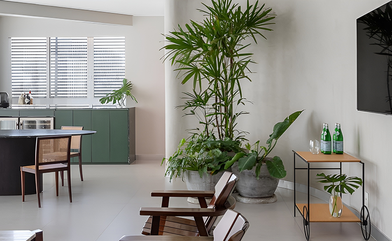 palmeira-ráfia grande em composição com folhagens em vasos menores.