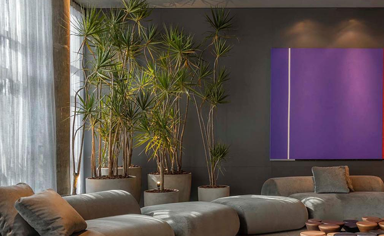 Conjunto de vasos com yuccas na decoração de sala moderna.