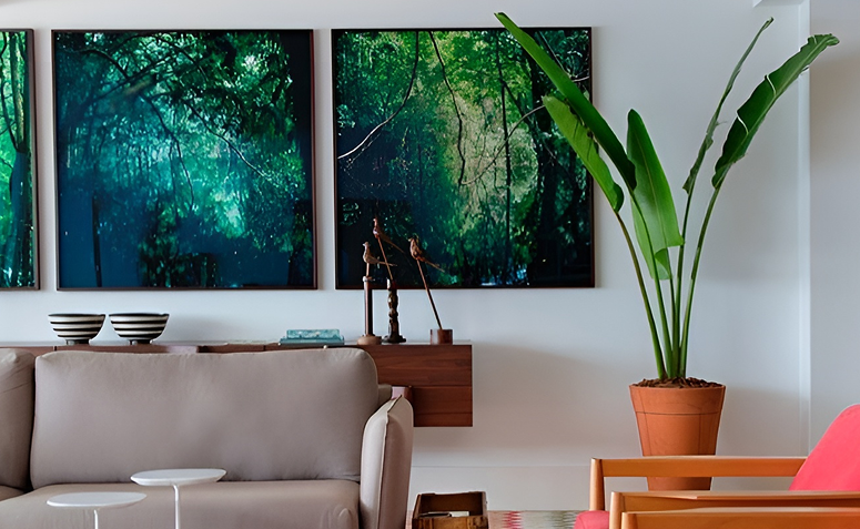 Strelitzia nicolai com folhas grandes em vaso de cerâmica na sala.