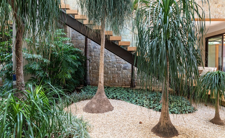 Foto de plantas que precisam de pouca agua 01 - 1
