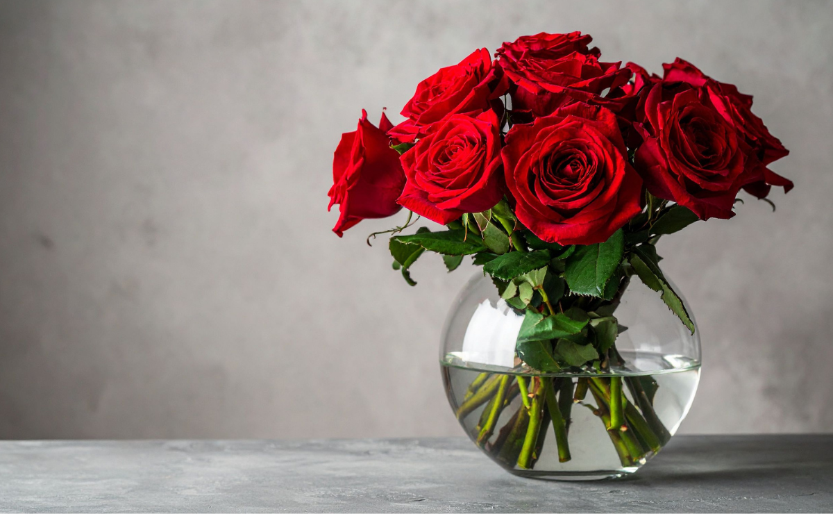 10 flores mais lindas do mundo e seus significados