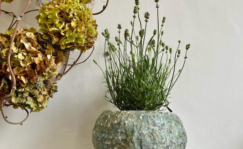 vaso de lavanda dentro de casa sendo flores que perfumam a casa