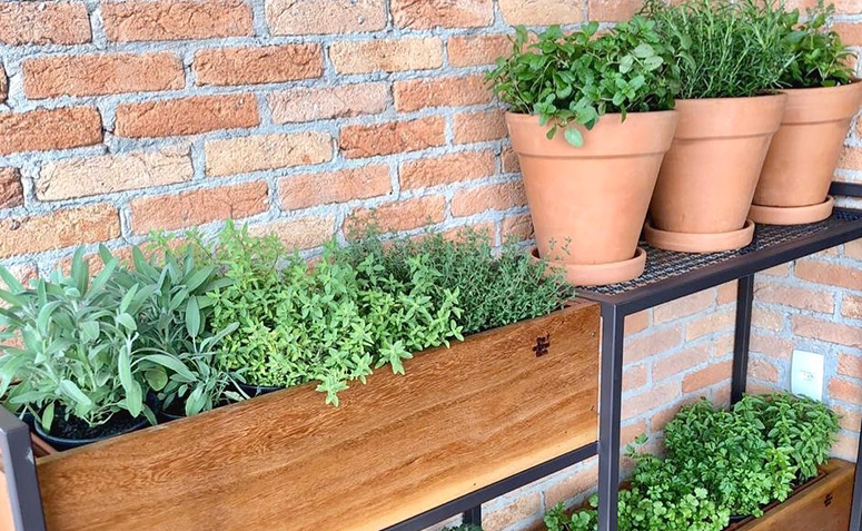 vasos de cerâmica organizados em prateleiras.