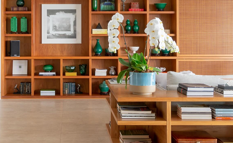 Orquídea branca em vaso, representando cuidados e dicas para fazer a orquídea florescer novamente.