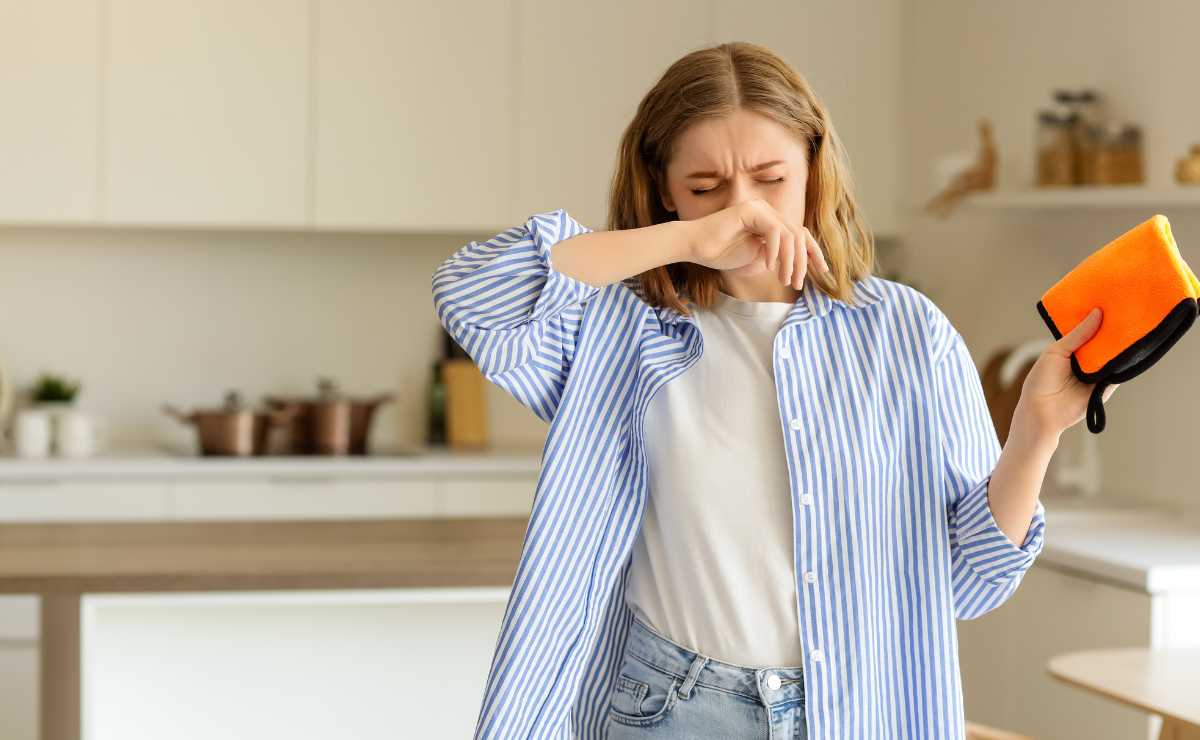 Cheiro de barata é real? Saiba o que é e como eliminar