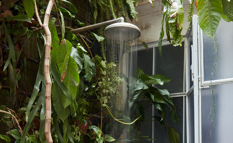 ducha externa em espaço pequeno com plantas pendentes.