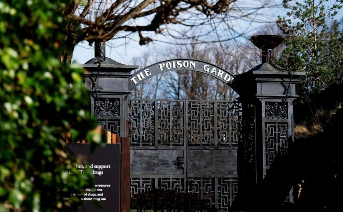 Beleza mortal: conheça o Jardim Venenoso de Alnwick, onde cada planta é um risco