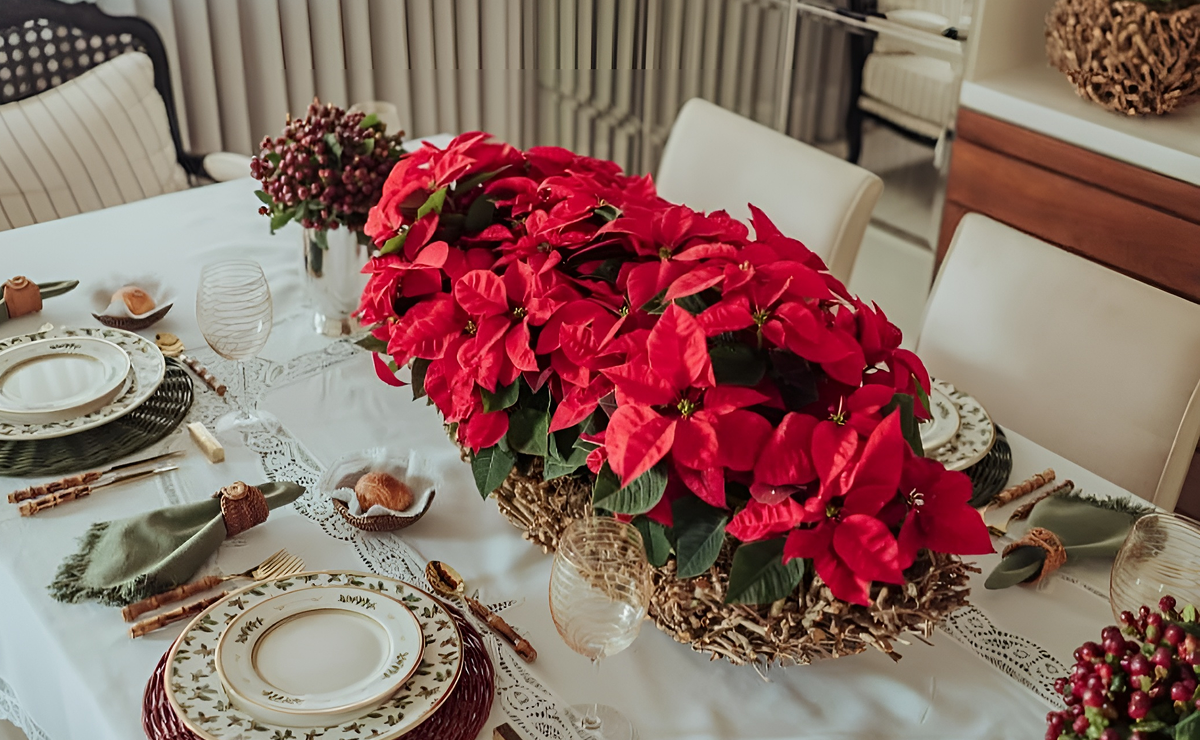 10 plantas para levar o clima e as cores do Natal ao seu lar