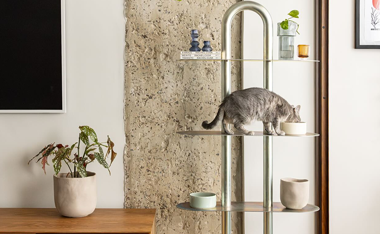 organização de itens do gato integrada à decoração da casa