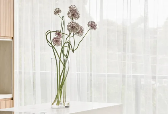 Você nunca pensou no alho assim: a flor que virou item de decoração