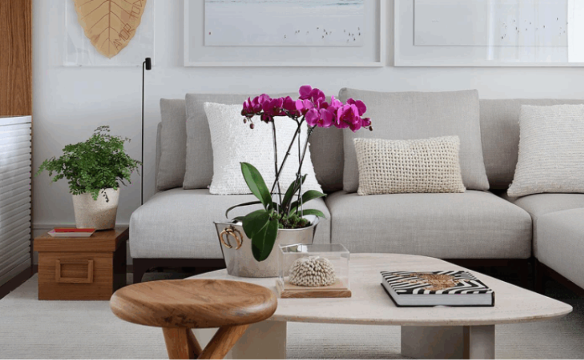 orquídea decorando ambiente interno e elevando a energia com delicadeza.