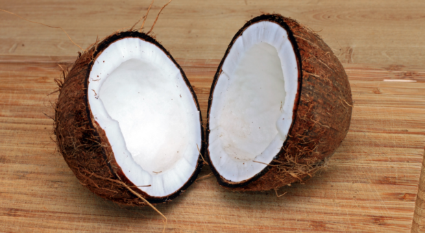 Como abrir coco seco de forma fácil e rápida