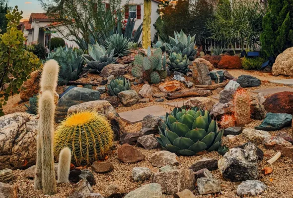 Jardim desértico: como ter um espaço verde de baixa manutenção em casa